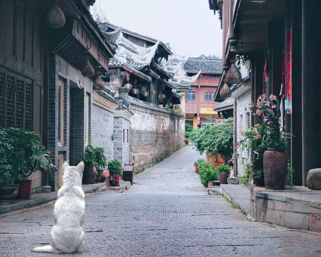 甜美小邮差